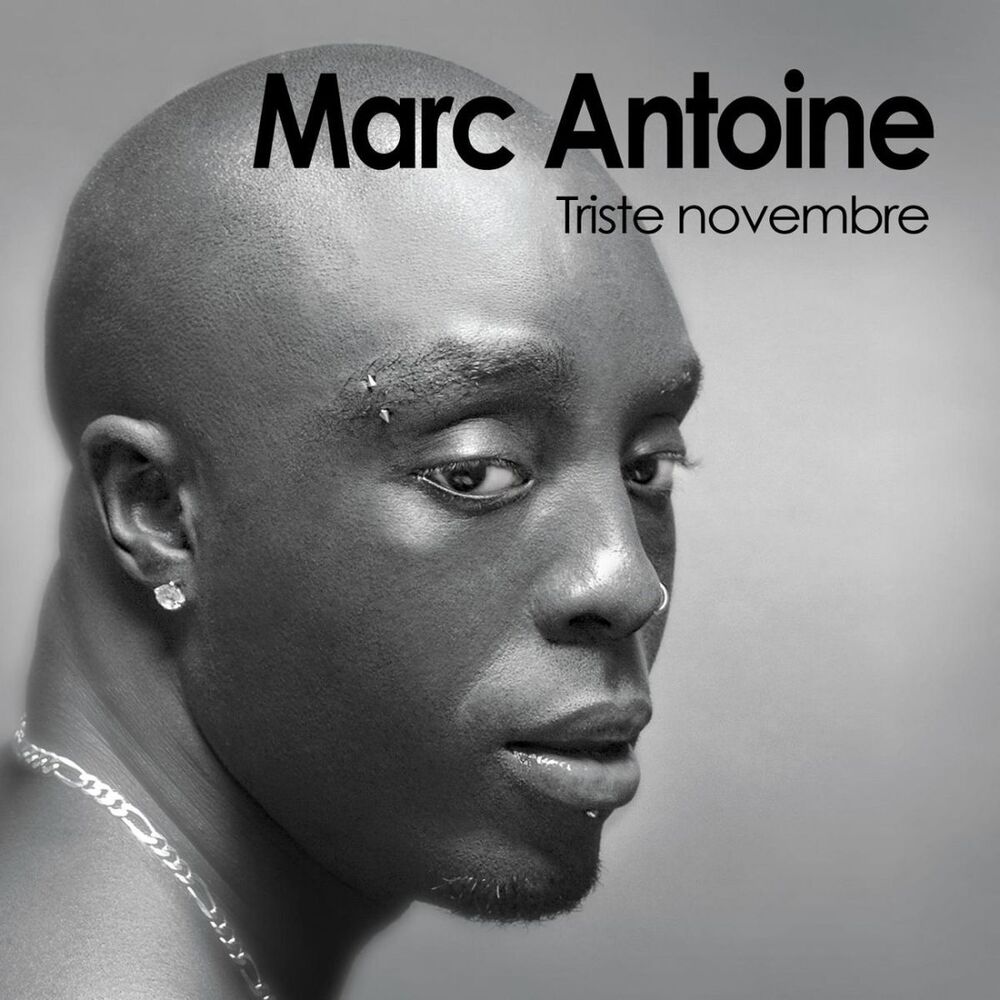Picture of Triste Novembre