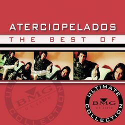 Cover of The Best Of - Ultimate Collection