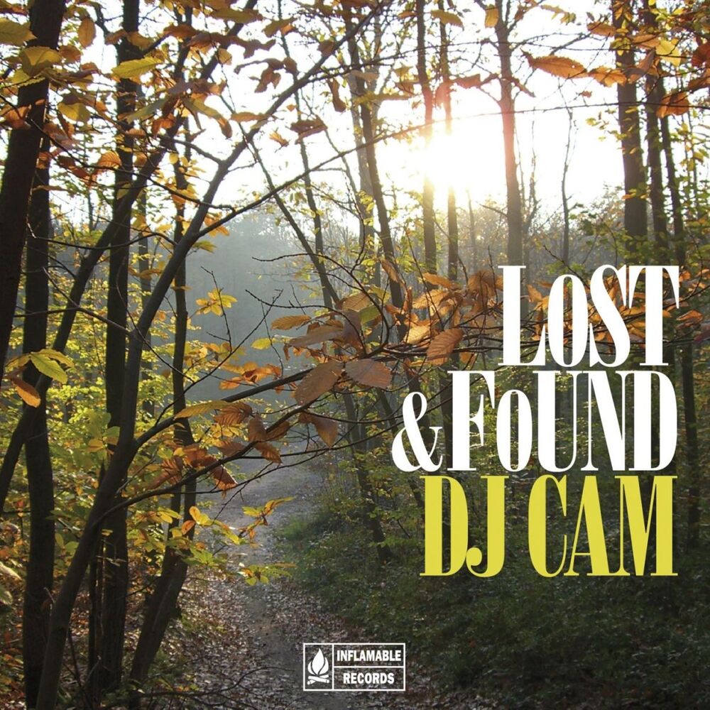 Picture of Lost & Found Compilation