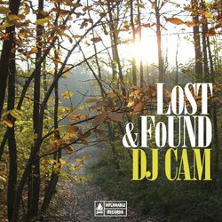 Cover of Lost & Found Compilation