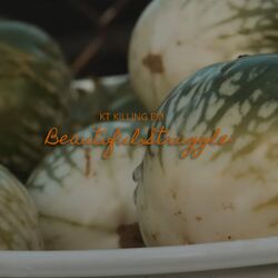 Cover of Beautiful Struggle