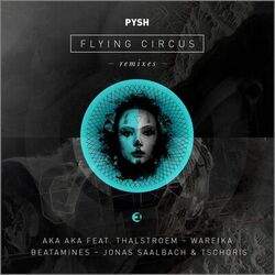 Cover of Flying Circus Remixes