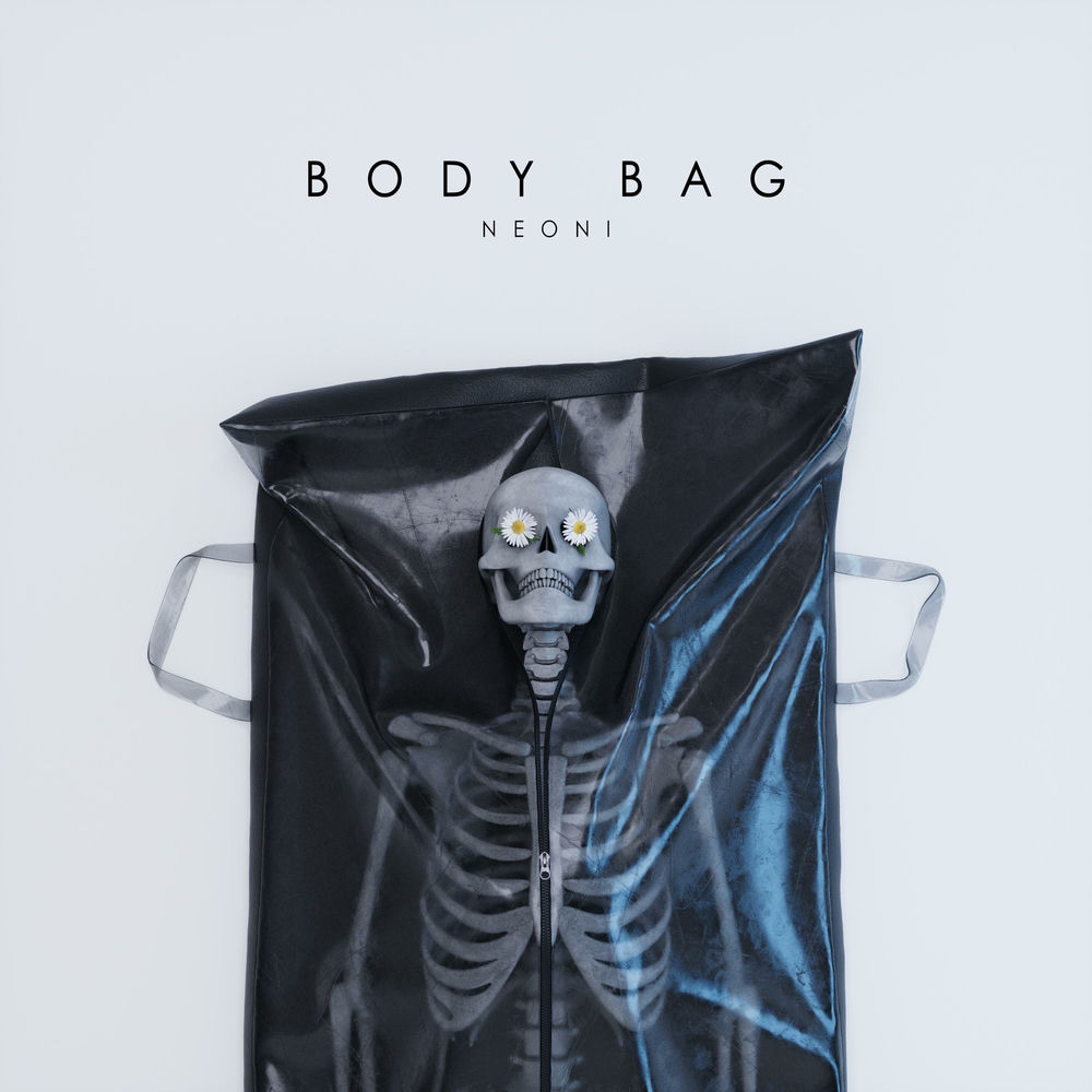 Body Bag cover