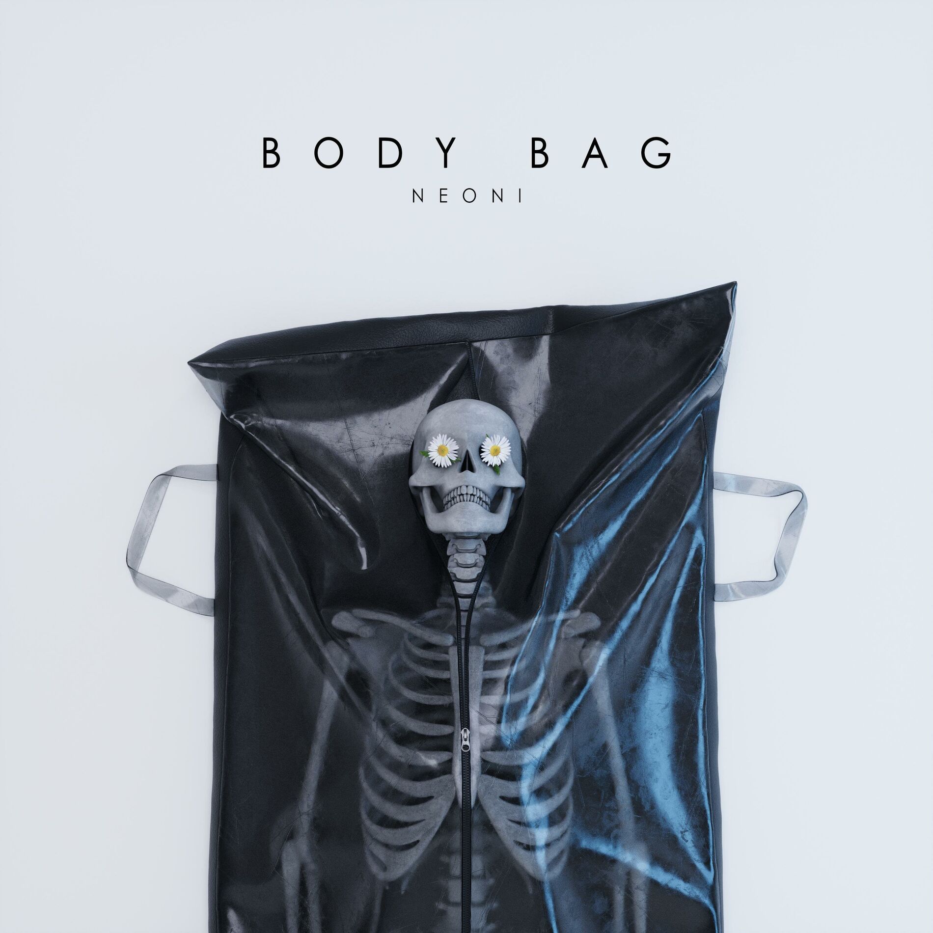 Album cover of BODY BAG