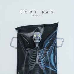 Cover of BODY BAG
