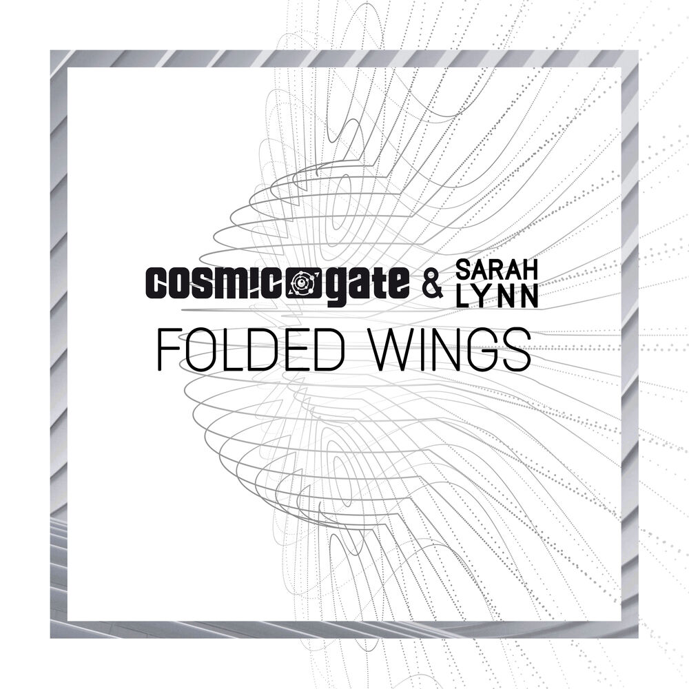 Picture of Folded Wings