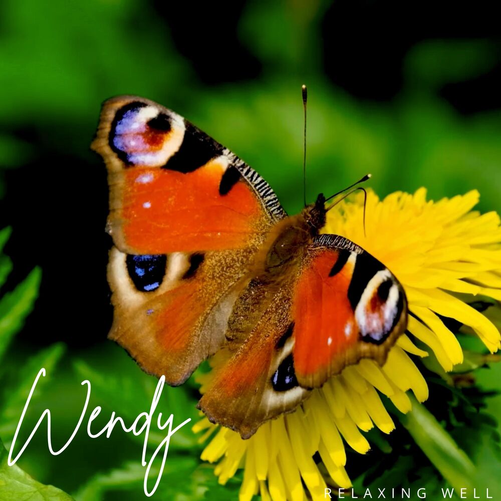 Picture of Wendy (Radio Edit)