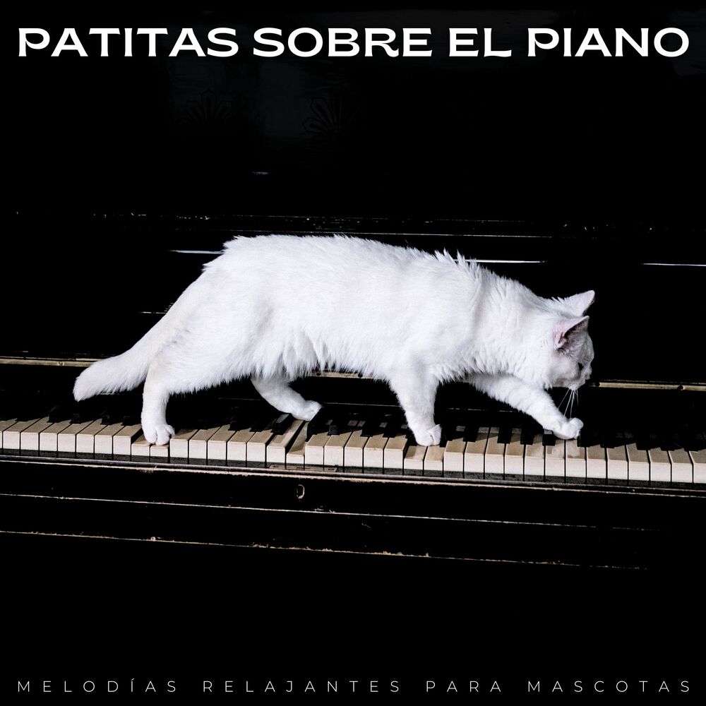 Picture of Patitas Sobre El Piano: Melodías Relajantes Para Mascotas