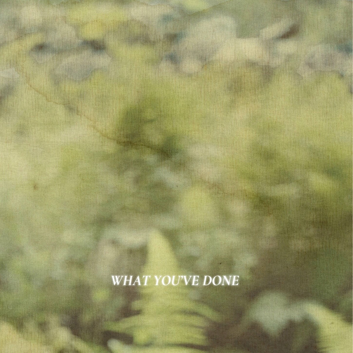 Album cover of What You’ve Done