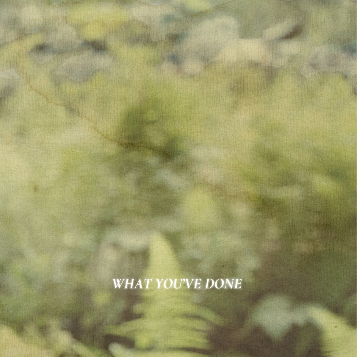 Album cover of What You’ve Done
