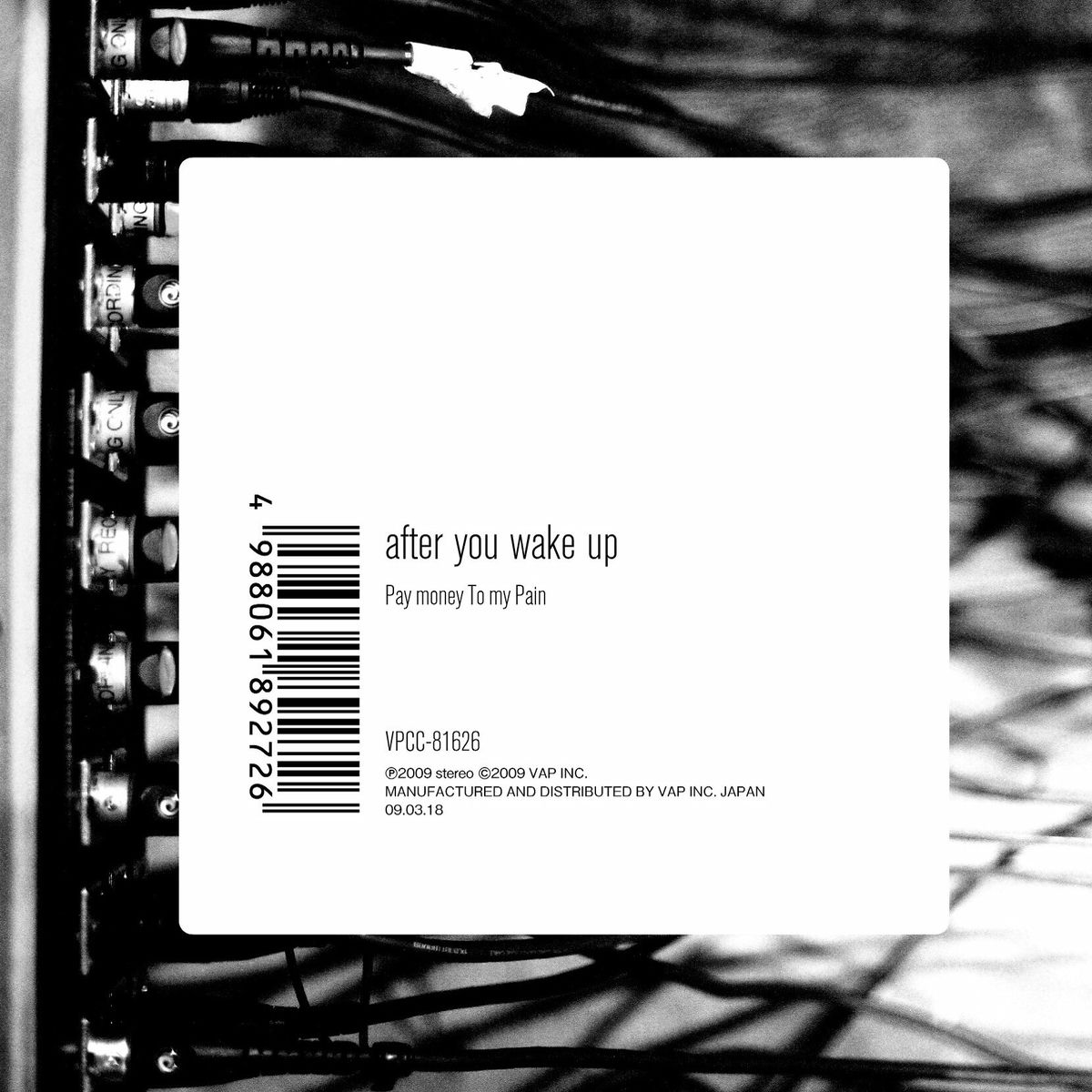 Album cover of after you wake up