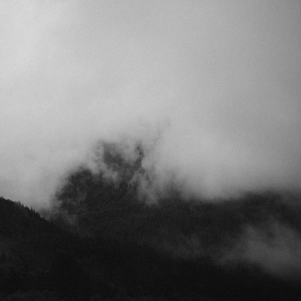 Picture of All We Felt