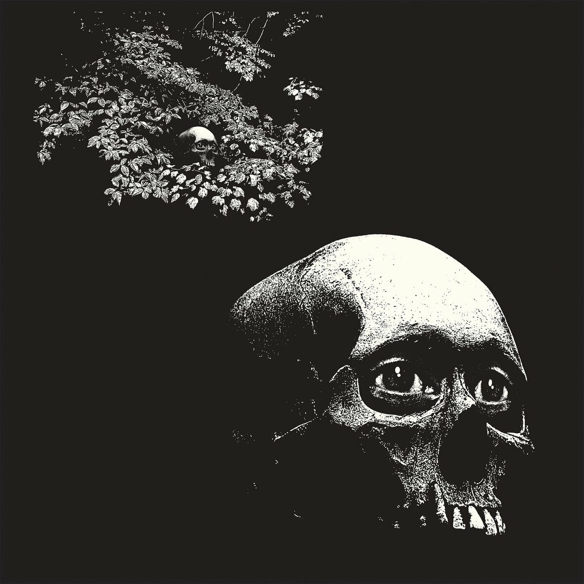 Album cover of Funeral Solution