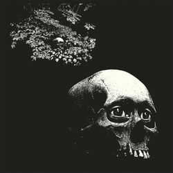 Cover of A Foul Form