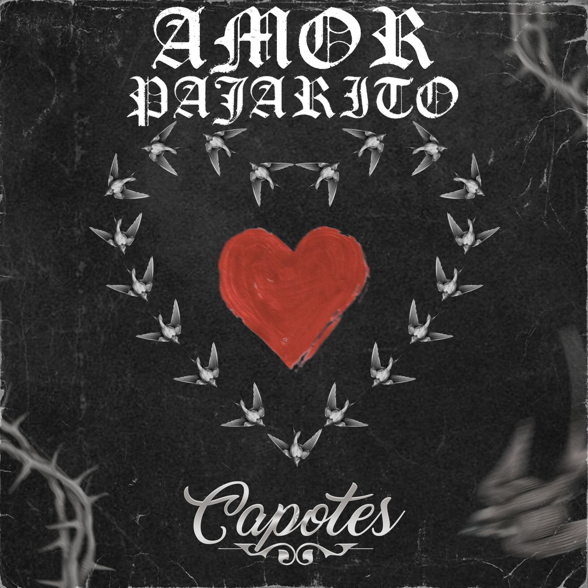 Album cover of Amor pajarito