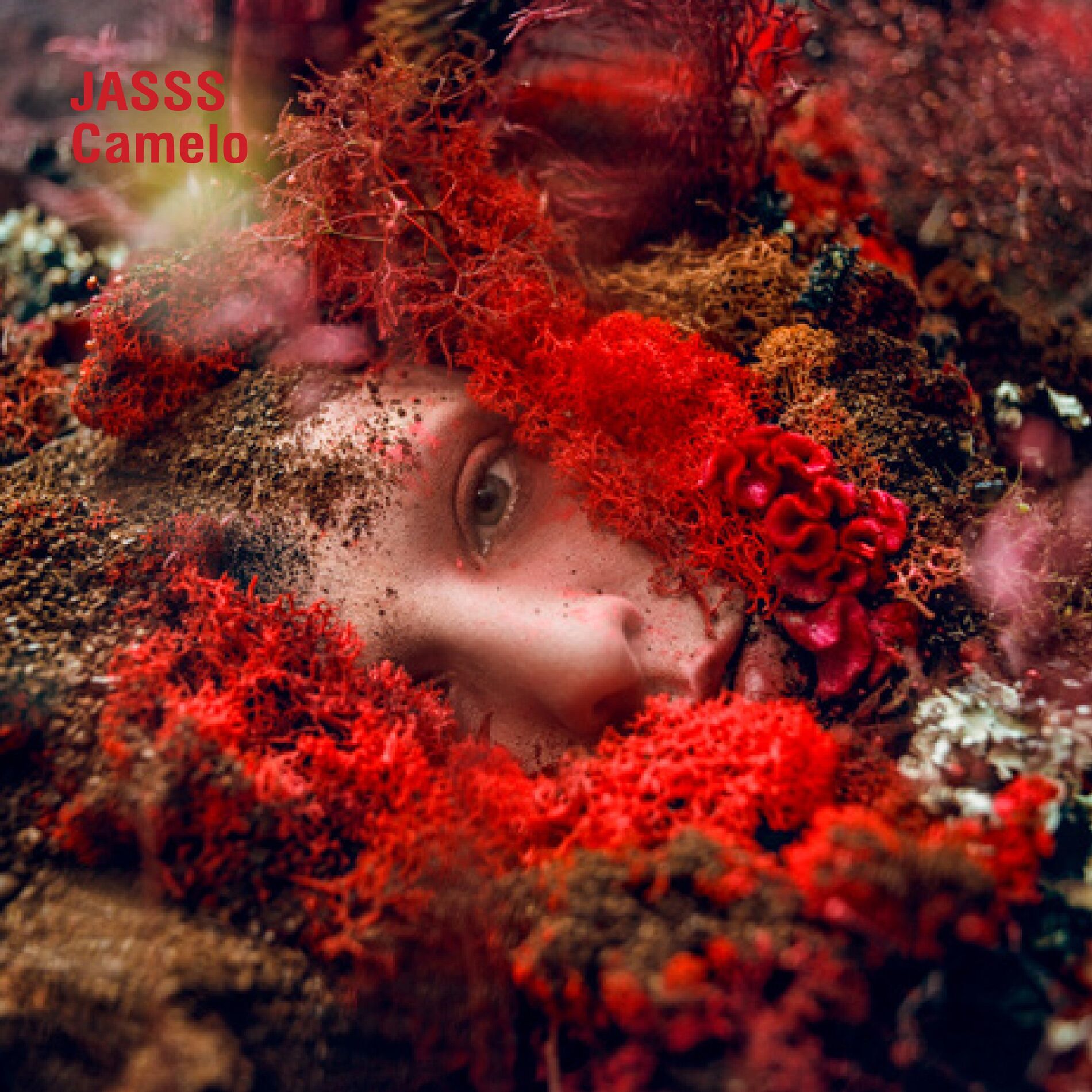 Album cover of Camelo