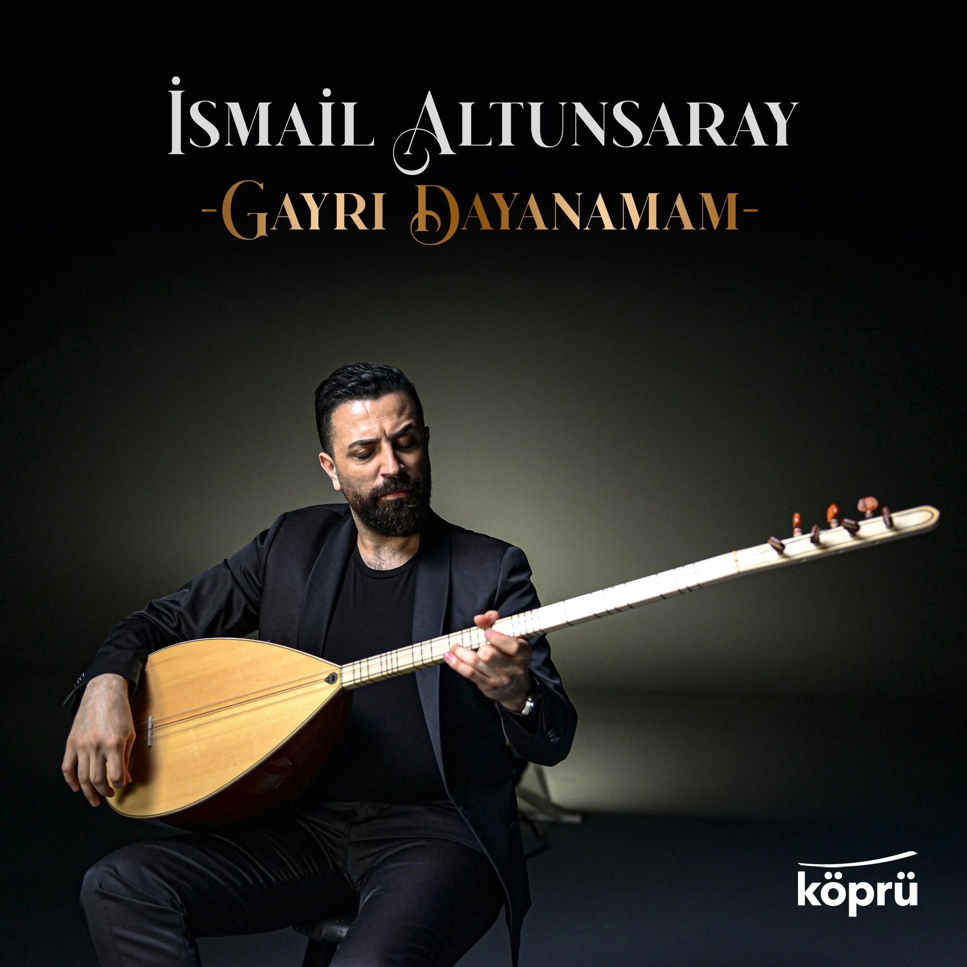 Album cover of Gayrı Dayanamam