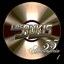 Cover of 35 Aniversario