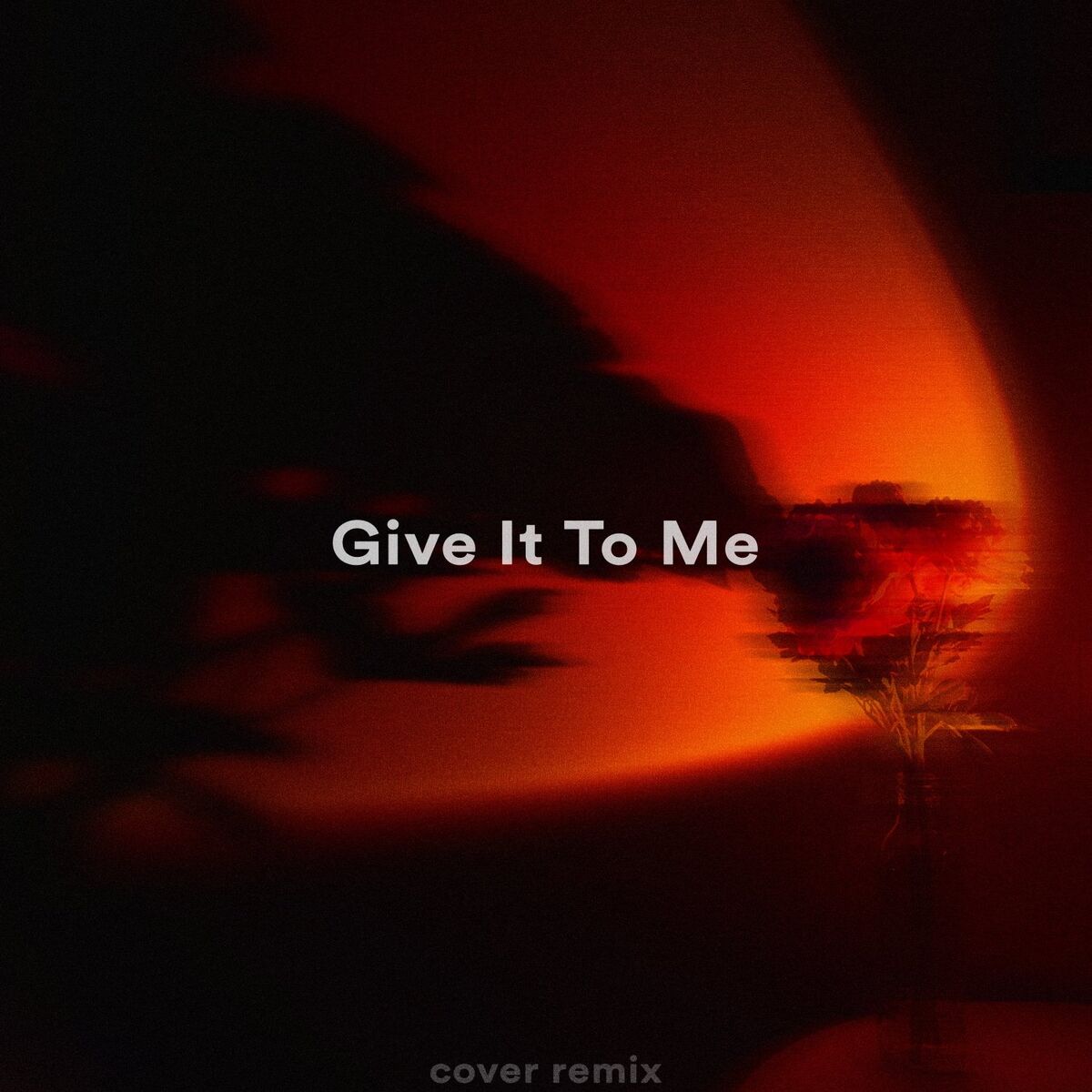 Album cover of Give It To Me (Remix)