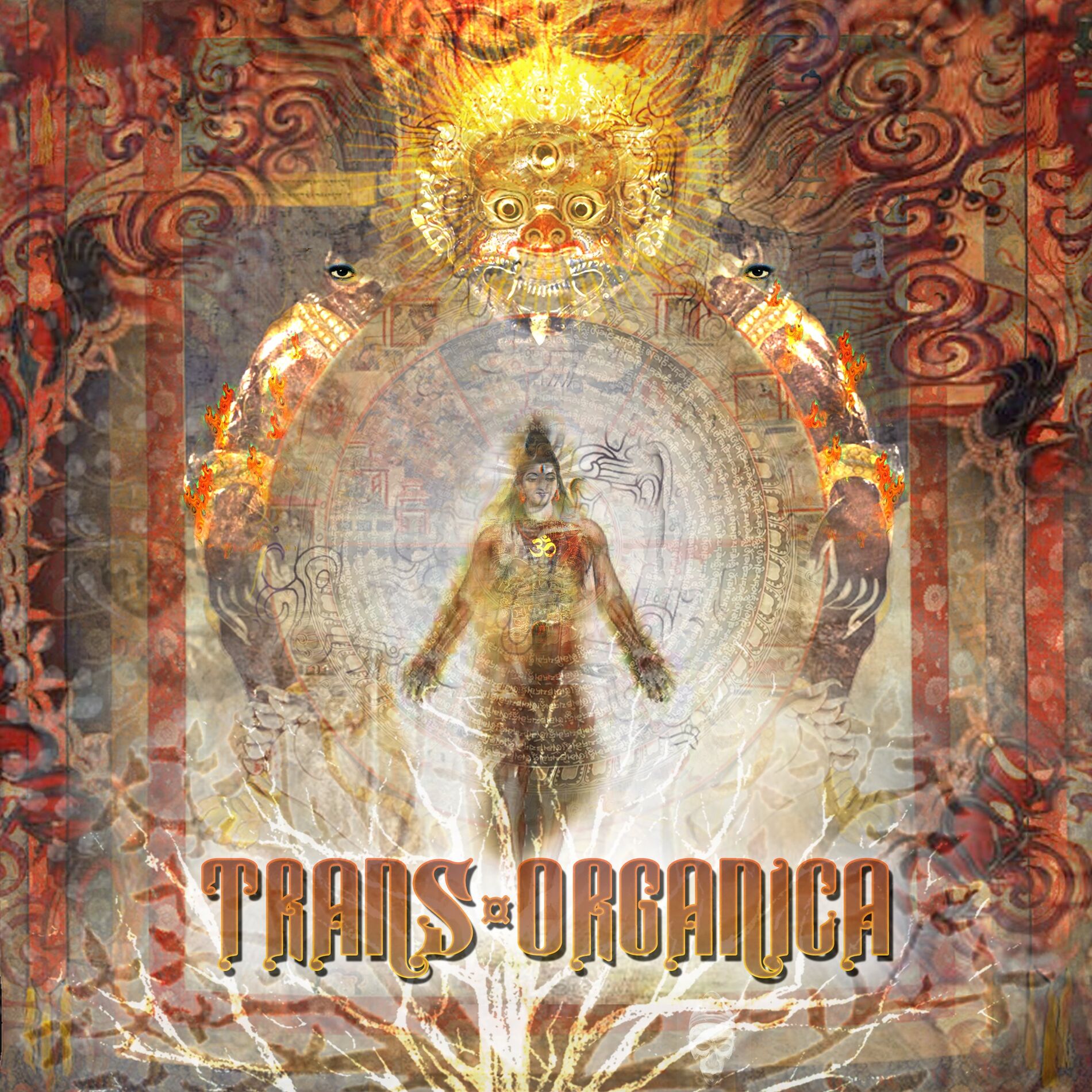 Album cover of Trans-Organica, Vol. 1 (Trans-Organica)