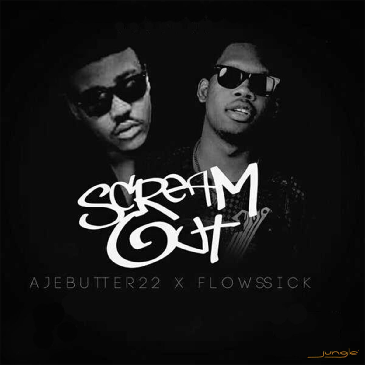 Album cover of Scream