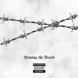 Cover of Peeping the Fraud