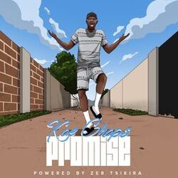 Cover of Promise