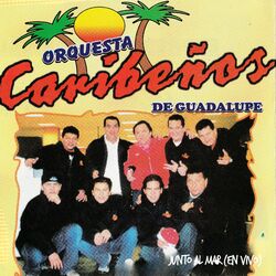 Cover of Junto al Mar (En Vivo)