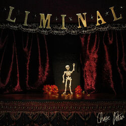 Cover of Liminal