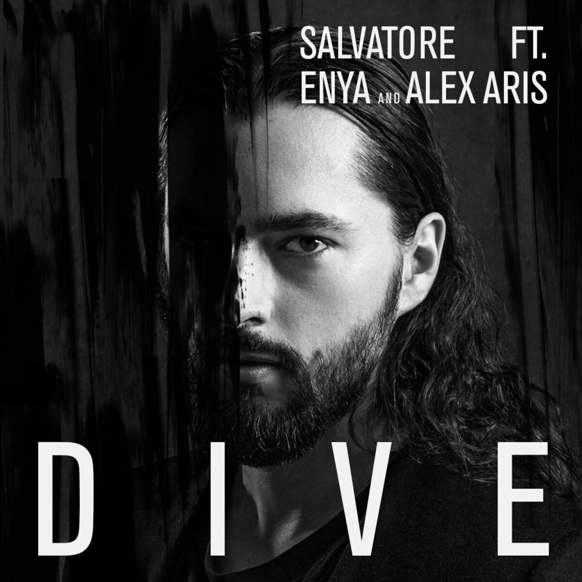 Album cover of Dive