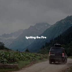 Cover of Igniting the Fire