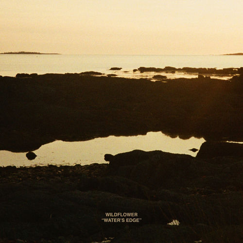 Water's Edge sleeve