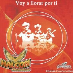 Cover of Voy a Llorar Por Ti