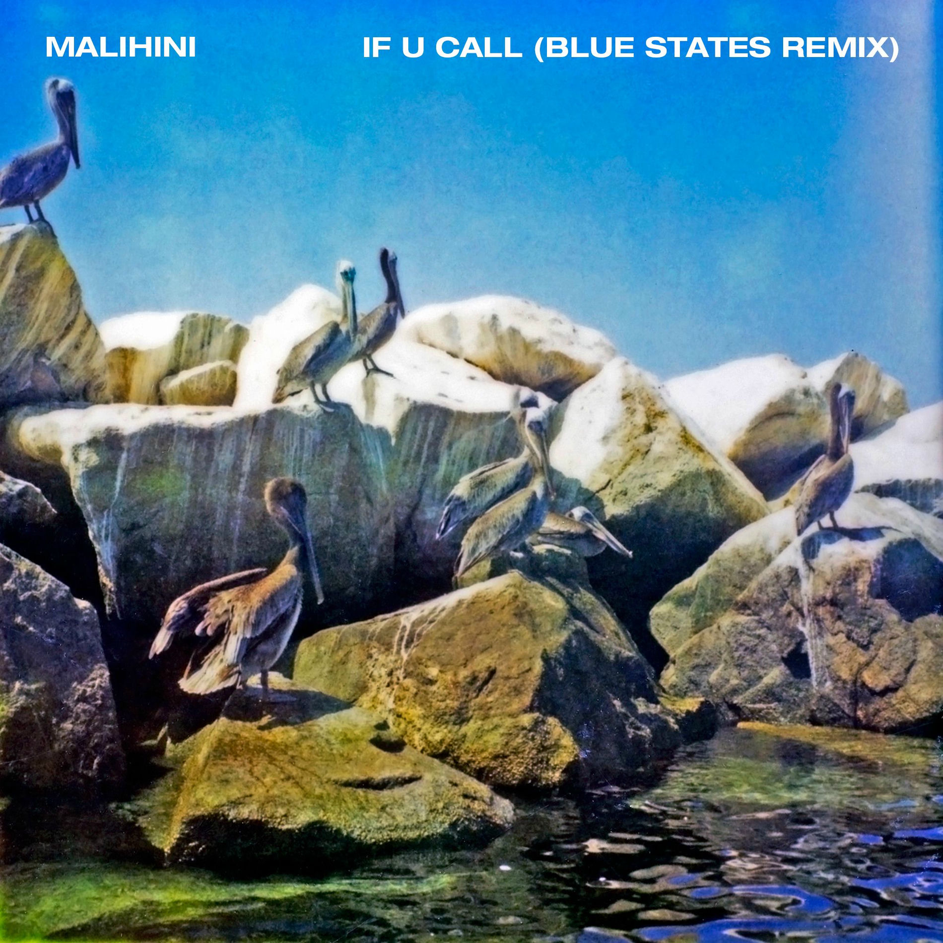 Album cover of If U Call (Blue States Remix)