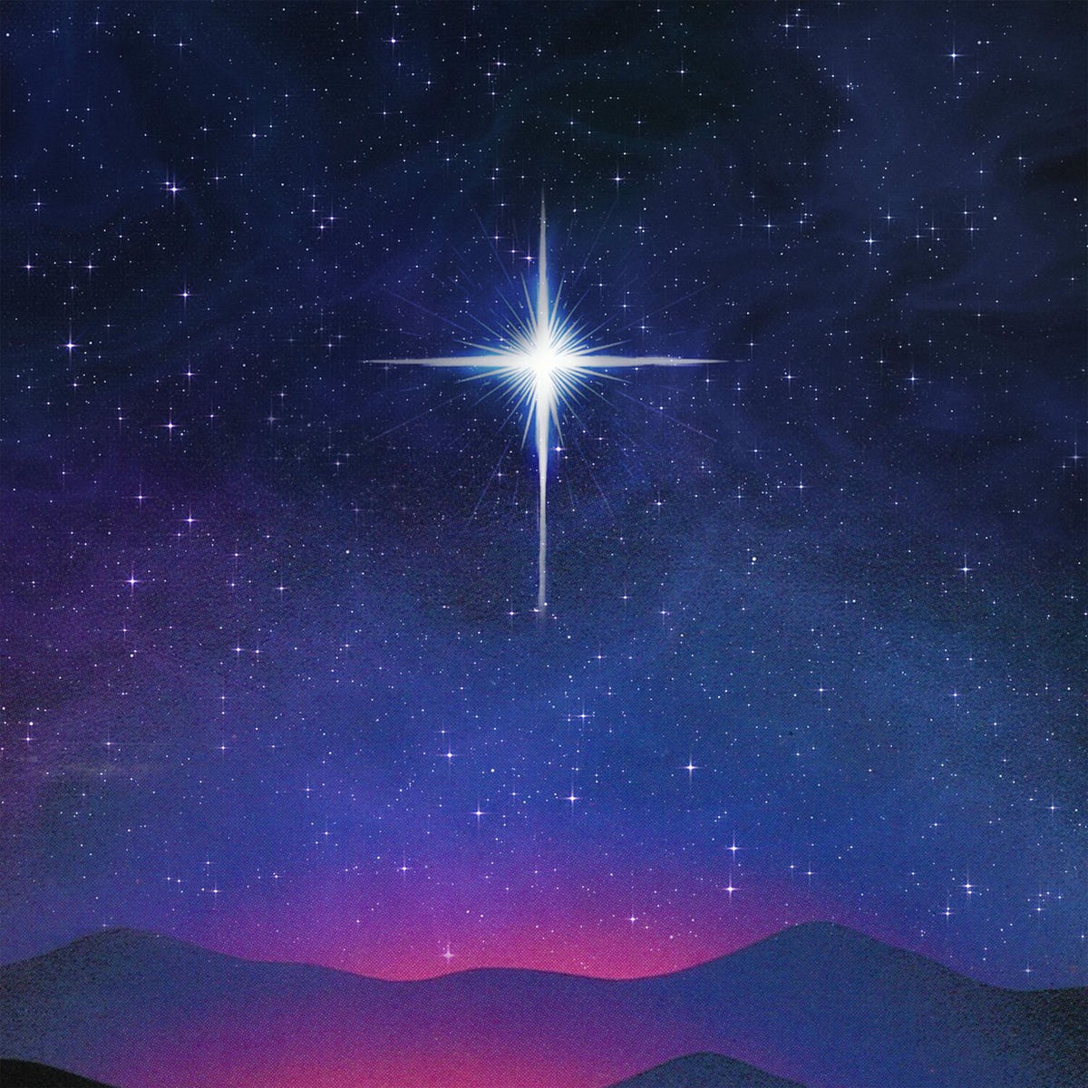 Album cover of A Star Will Rise