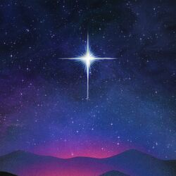 Cover of A Star Will Rise