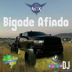 Cover of Bigode Afiado