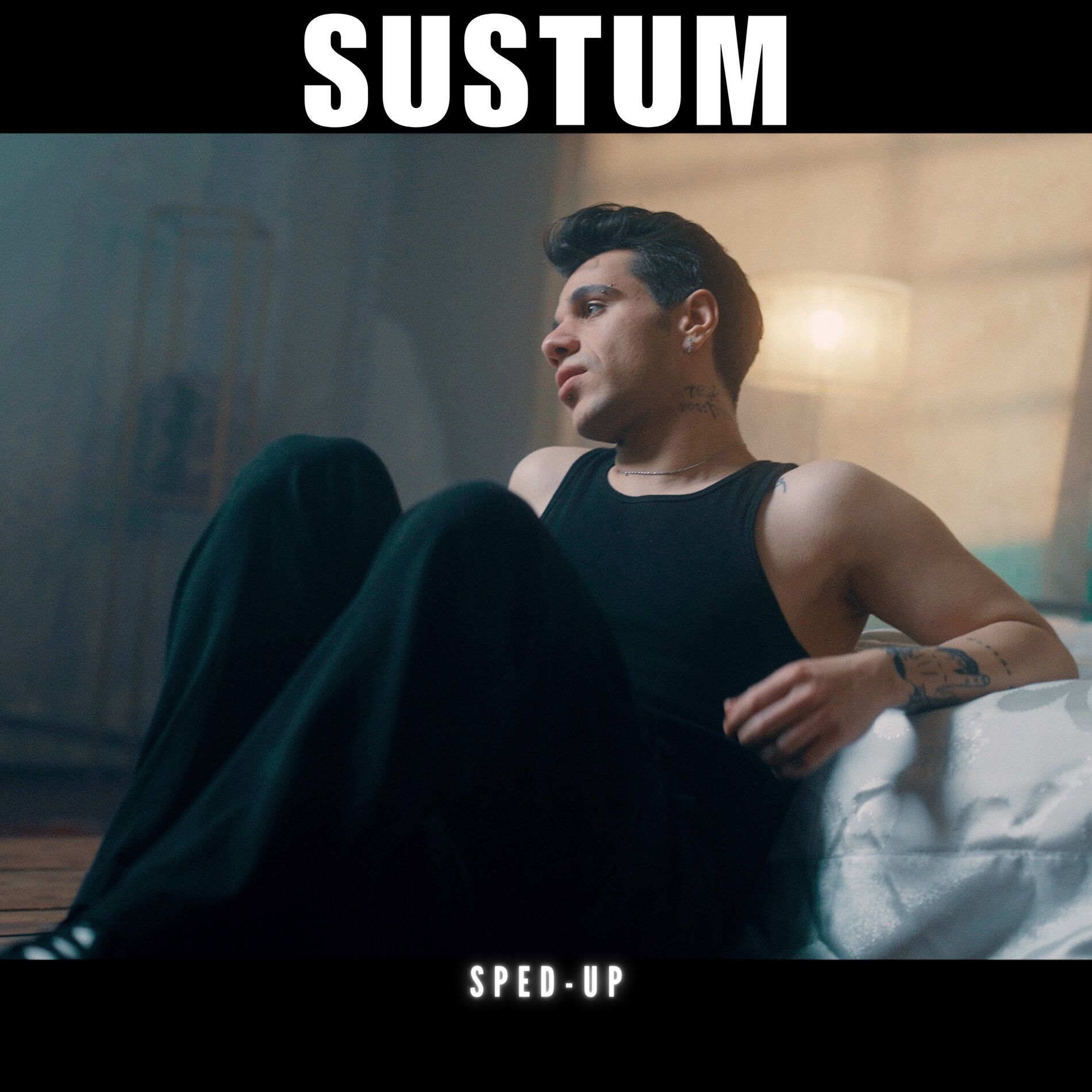 Album cover of Sustum