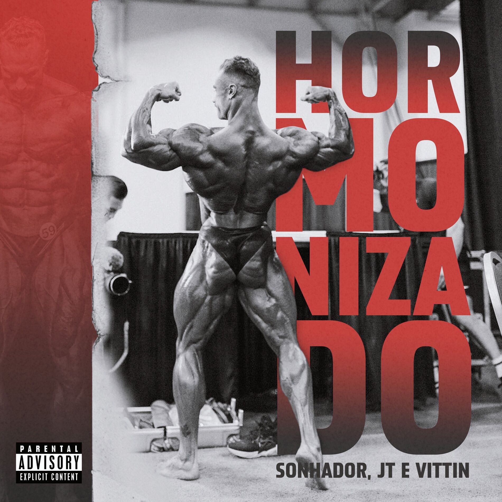Album cover of Hormonizado