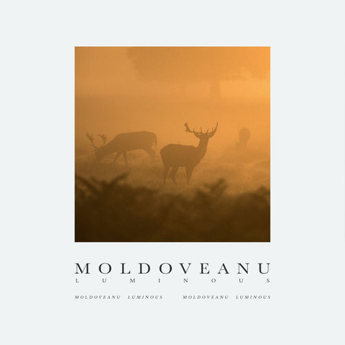 Luminous by Moldoveanu - 140 BPM