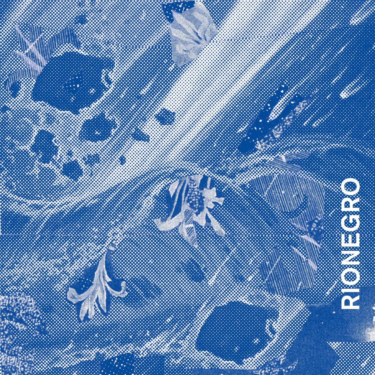 Album cover of Amazonas