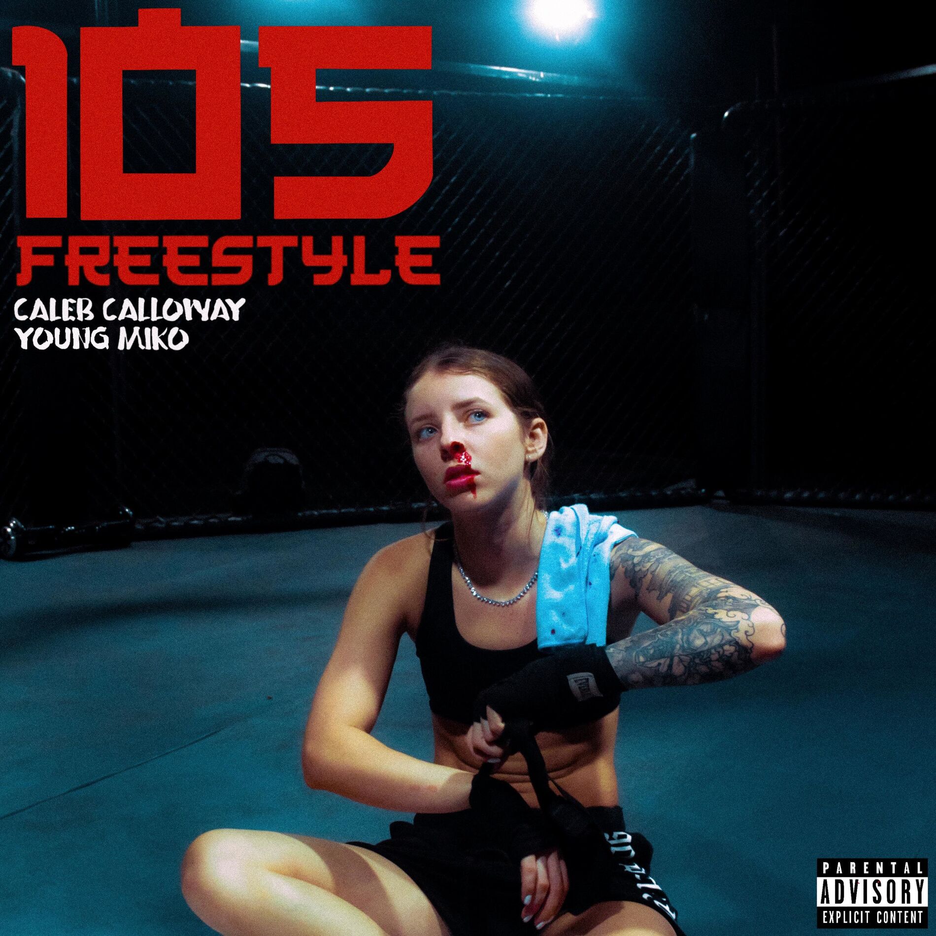 Album picture of 105 Freestyle