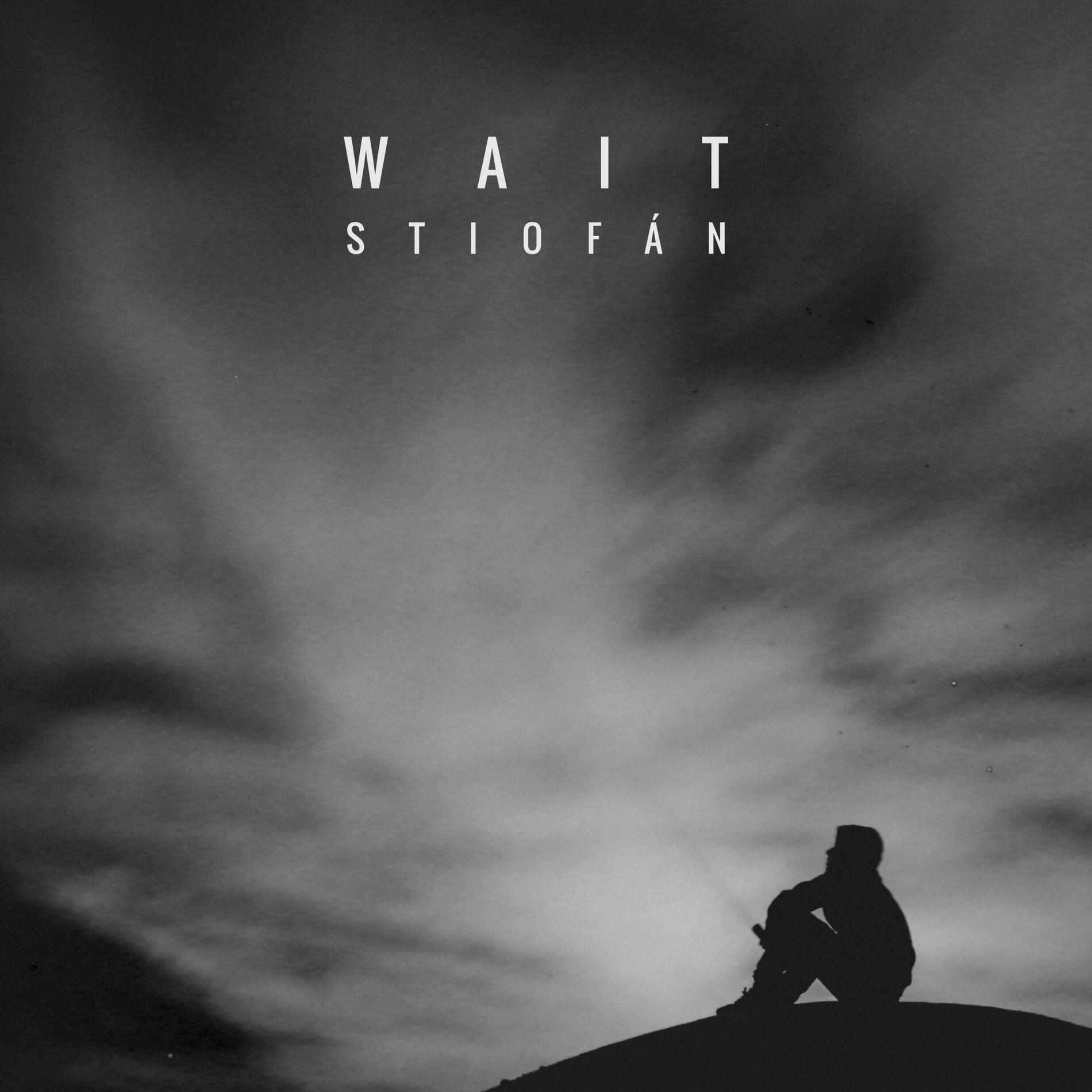 Album cover of Wait