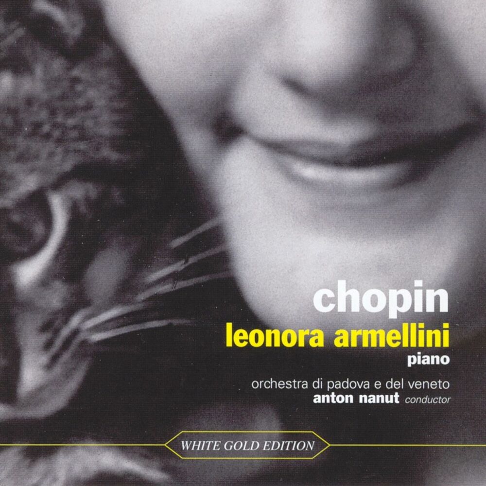 Picture of Chopin