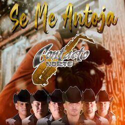 Cover of Se Me Antoja