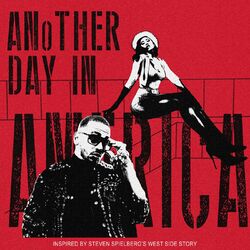 Cover of Another day in America