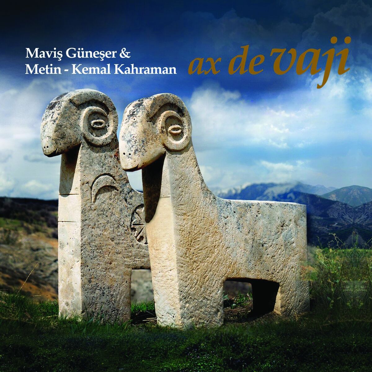 Album cover of Ax De Vaji
