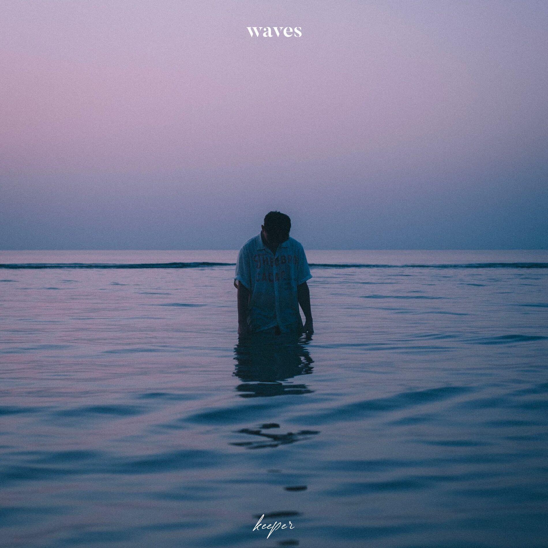 Album cover of Waves