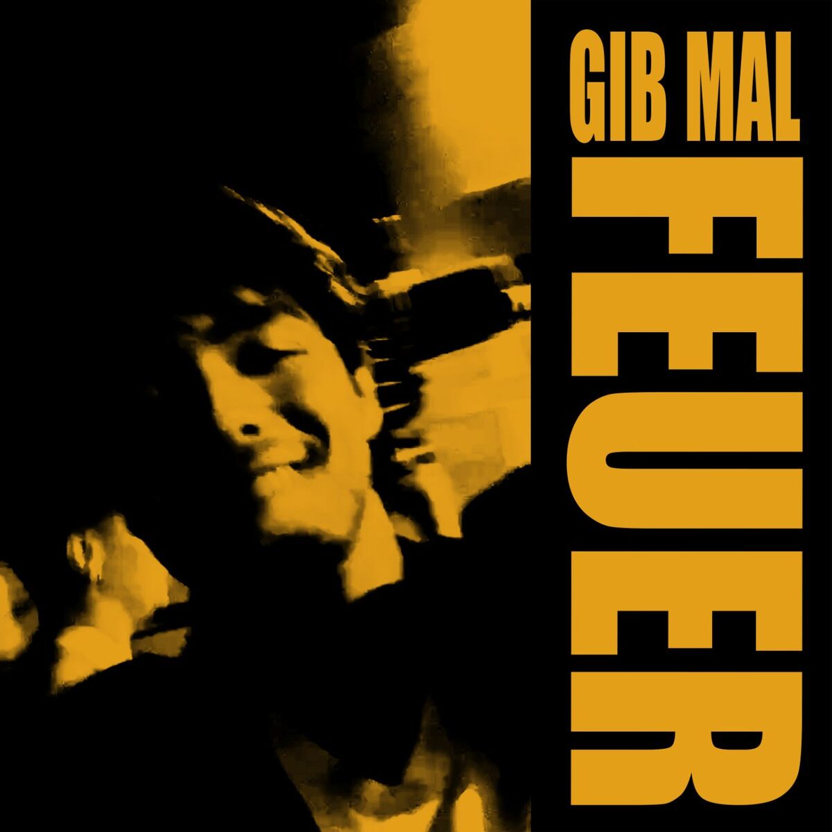 Album cover of Gib Mal Feuer