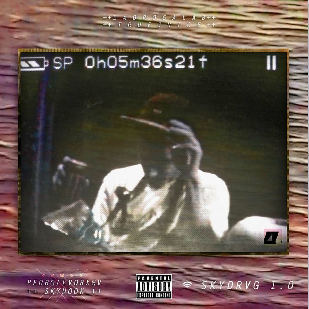 Album cover of Skydrvg 1.0